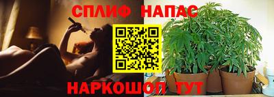 ГАЛЛЮЦИНОГЕННЫЕ ГРИБЫ Уссурийск