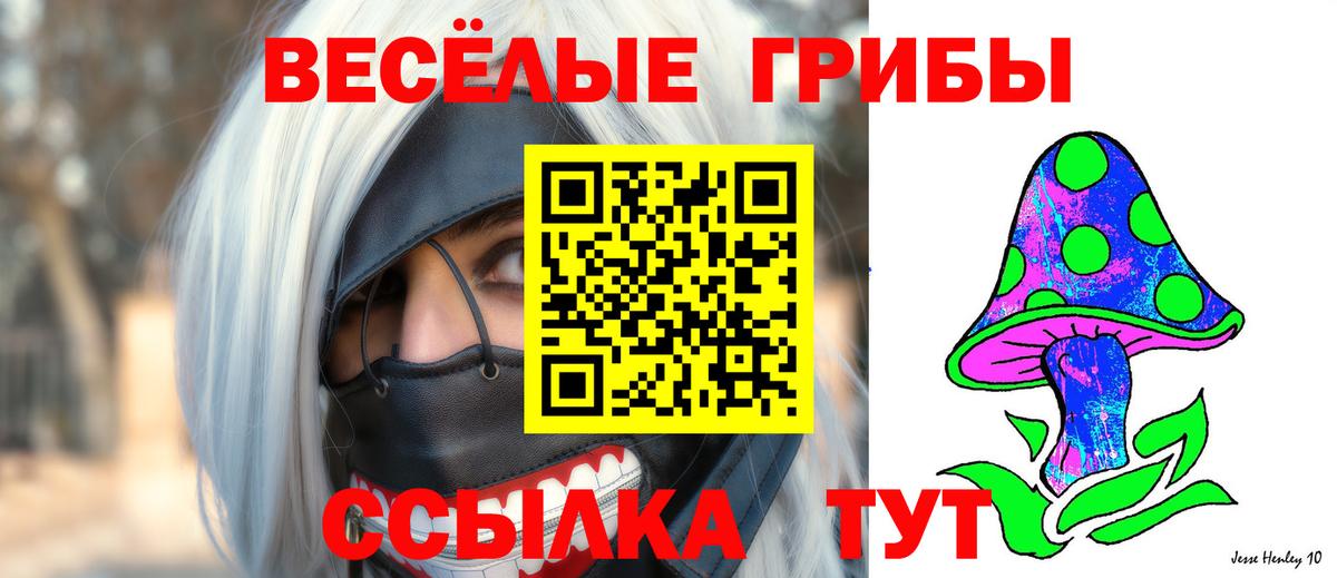 Псилоцибиновые грибы GOLDEN TEACHER Миллерово